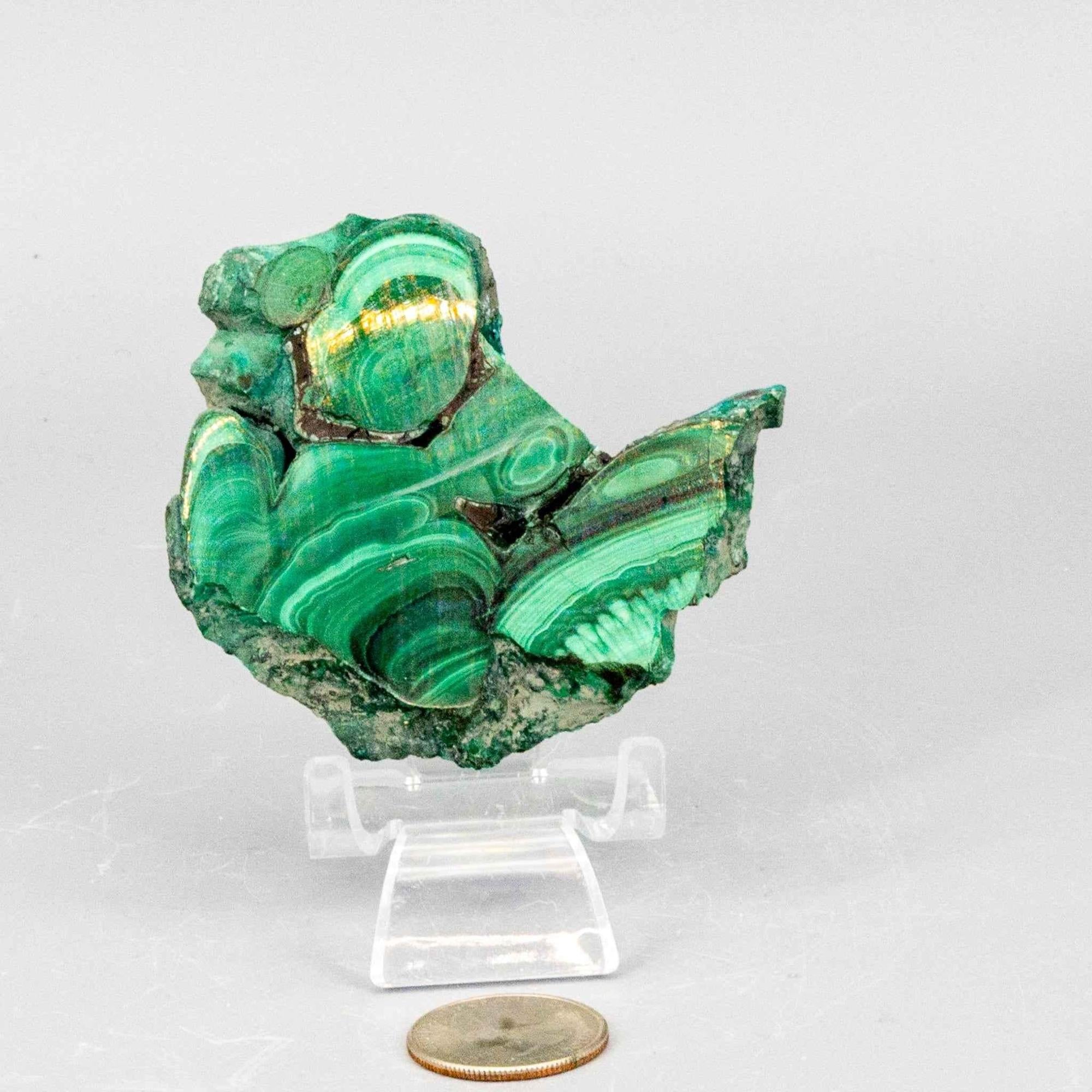 Malachite Slices, Polished Healing Stone
