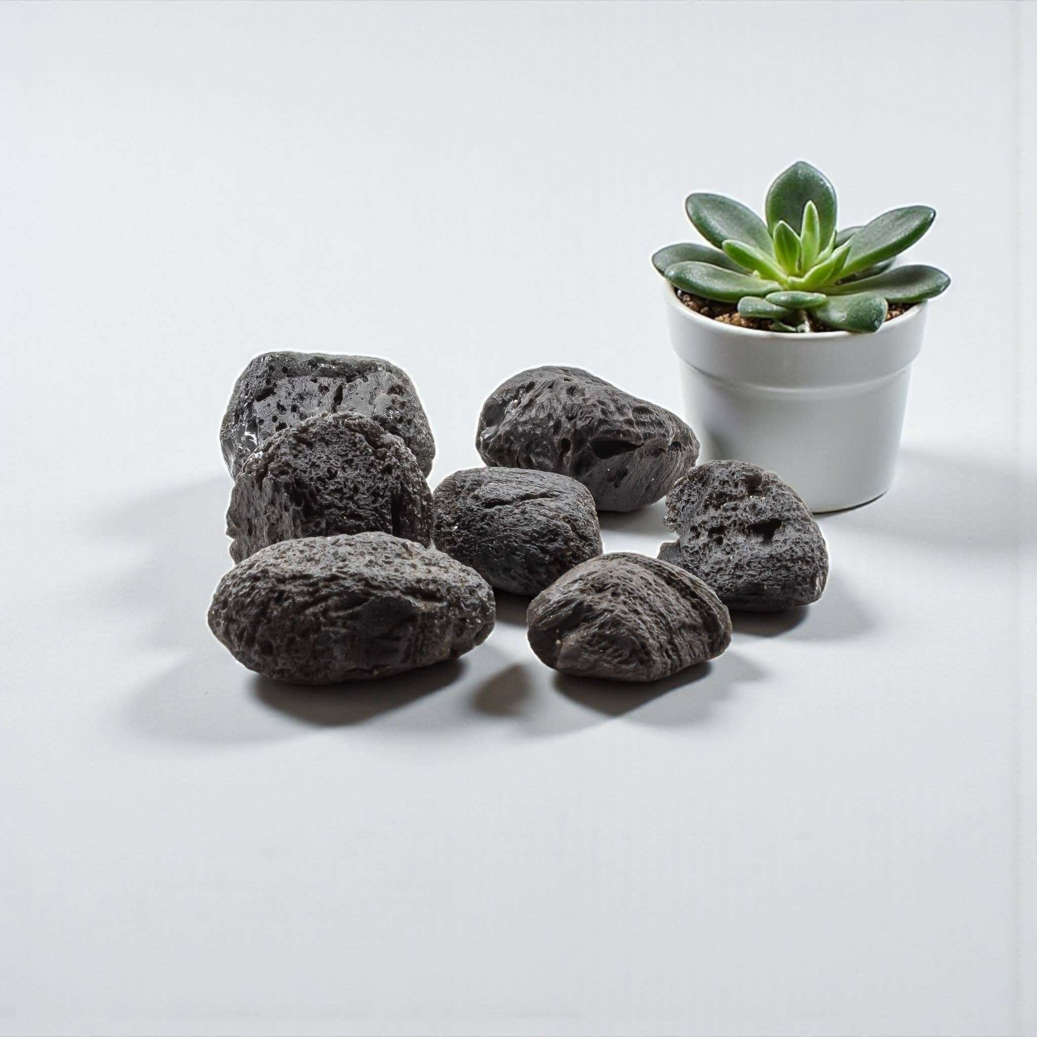 Tektite Rough Large Palm Stone Size Specimen